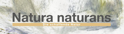 Einladungskarte Ausstellung Natura naturans 2020 in der Kulturwerkstatt HAUS 10
